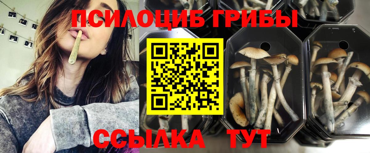 Галлюциногенные грибы Magic Shrooms Сорочинск